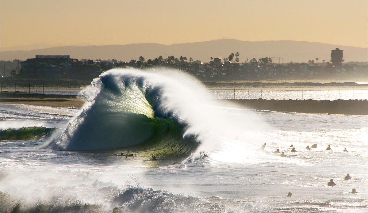 California Wide Mouth. Photo: Robb Wilson