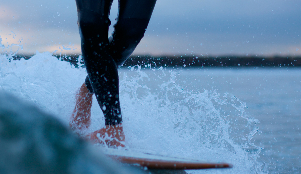 Happy Feet. Photo: Robb Wilson