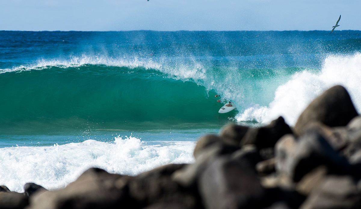 Photo: Rodrigo Gomez // @seasoul_byronbay