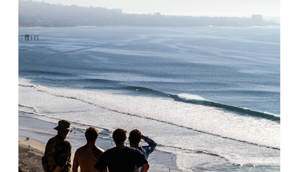 Pondering. A group watches as Blacks wakes up from a good winter nap. Photo: <a href=\"http://www.surfingeye.com/\" target=_blank>Ronald Hons</a>.