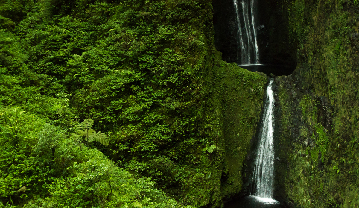 At the bottom of Honokohau Falls, these waterfalls merge into the Honokohau Stream. Here there were 1,600 taro patches stretched from the mountains to the ocean owned by Hawaiian families. Up until the last 10 years, there were no more taro patches in west Maui.<a href=\"http://www.rookemedia.com\">Tyler Rooke</a>