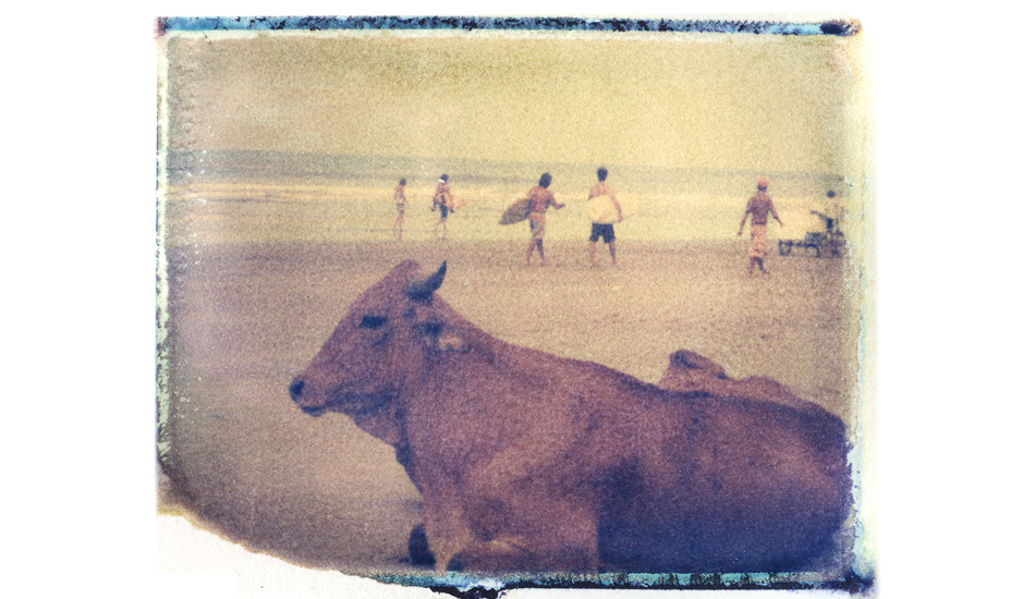 Surf Cow. This image was taken in Montanita, Ecuador. I was actually sitting right next to a group of cows on the beach. I was waiting for the surfers to walk into the frame without the cows moving. Image: <a href=\"http://shehitpausestudios.com/\" target=\"_blank\">Schwartz</a>