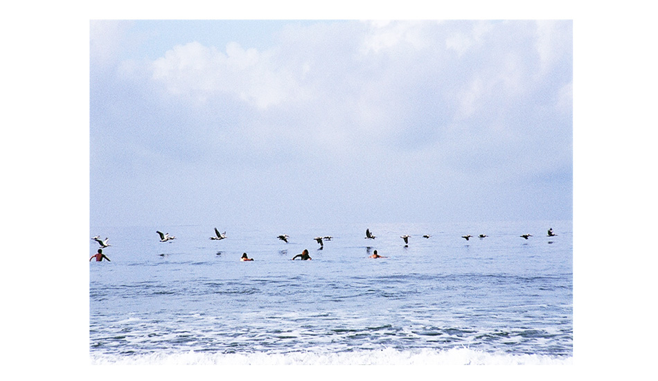 Surfers and Pelicans. The beauty of the intervals between sets. Waves, quiet, and low flying birds. Surrounded by goodness. Image: <a href=\"http://shehitpausestudios.com/\" target=\"_blank\">Schwartz</a>