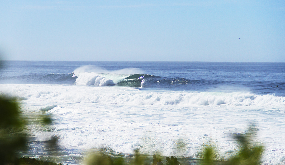 Perfection in La Jolla. Photo: Eric Henderson