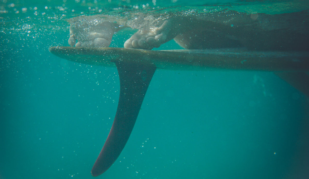 Under the sea at Noosa. Photo: <a href=\"http://thomaslodin.tumblr.com/\">Thomas Lodin</a>