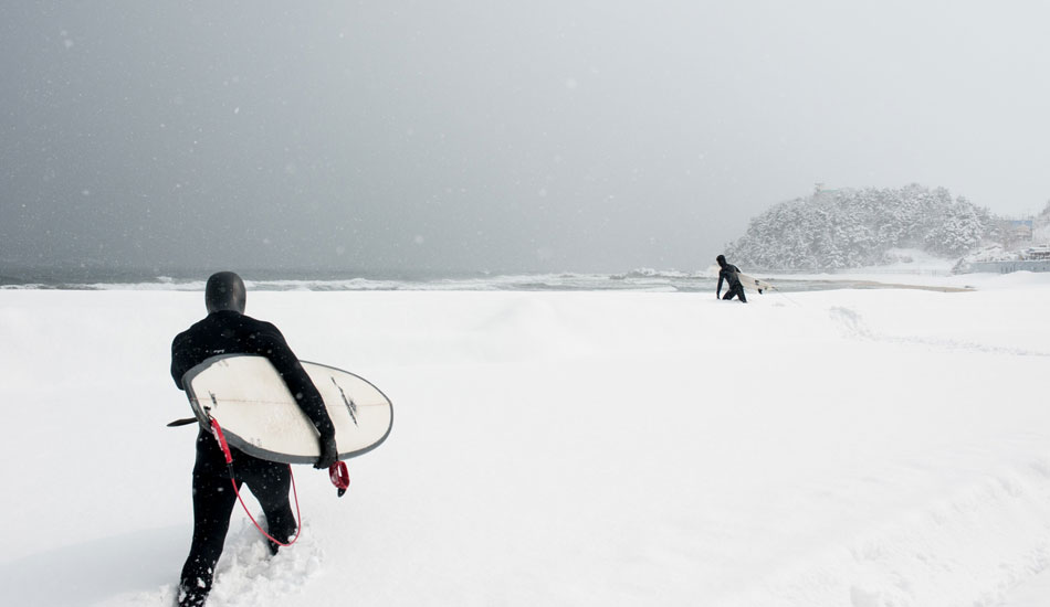 And you thought you were committed to surfing. Photo: <a href=\"http://www.shannonaston.com/\" target=_blank>Shannon Aston</a>.