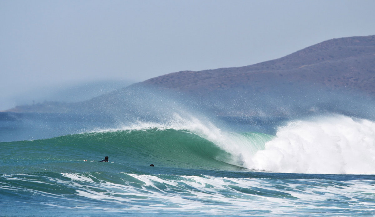 Any takers? There was plenty more of these. Photo: Shayla Chippendale