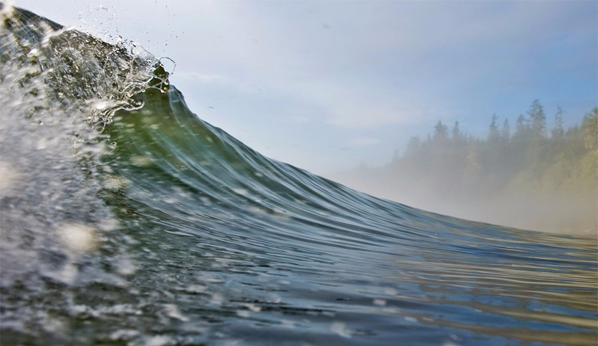 Foggy peeler. Photo: <a href=\"http://beachbreakphotography.ca/\">Shayne Stadnick</a>