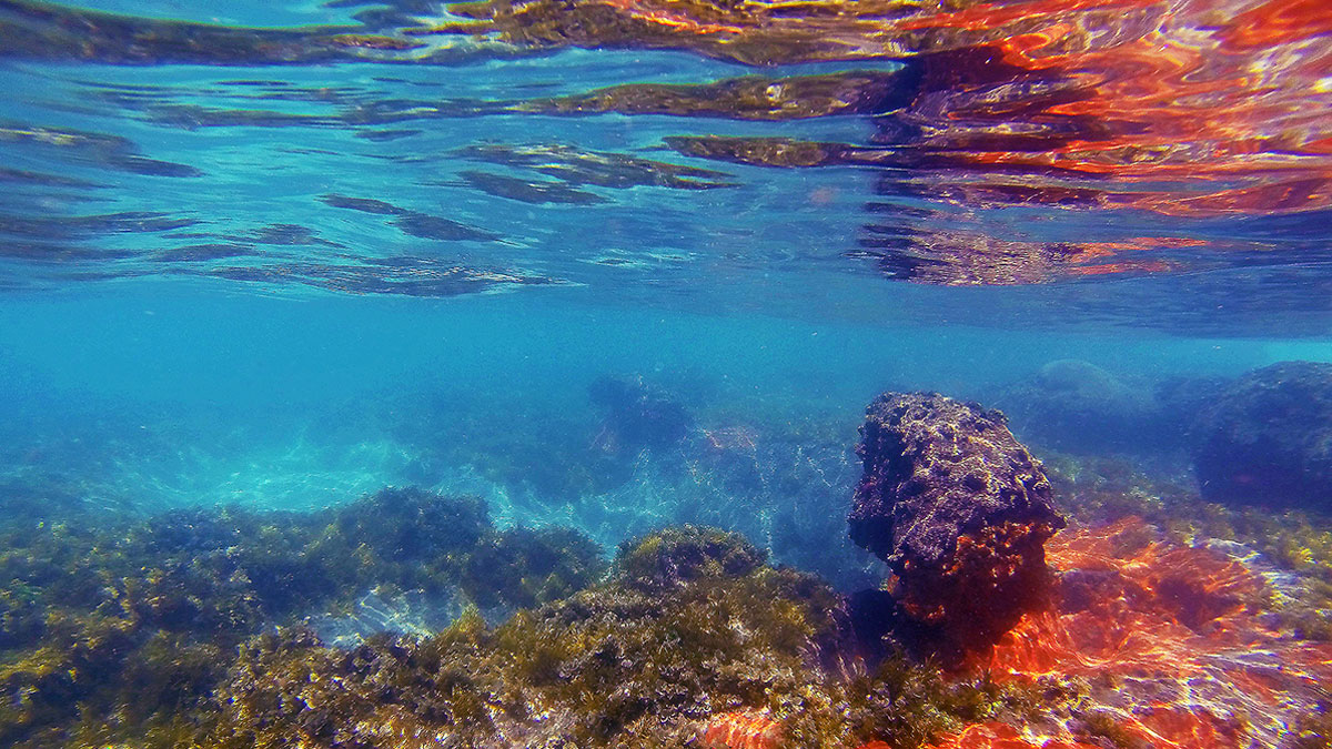 Most people think Florida\'s nearshore is an endless expanse of sand, but there\'s plenty of rock and reef to make for some sketchy shore-break. Photo: <a href=\"http://instagram.com/youngxsalt\"> Tondo</a>