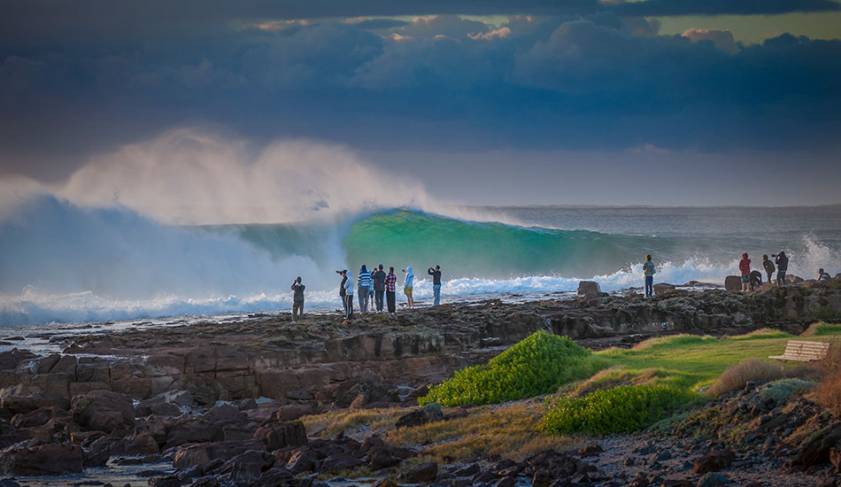 Look Look – what are you looking at? South Coast Magic. Photo: <a href=\"http://www.16images.com.au\">Steen Barnes</a>