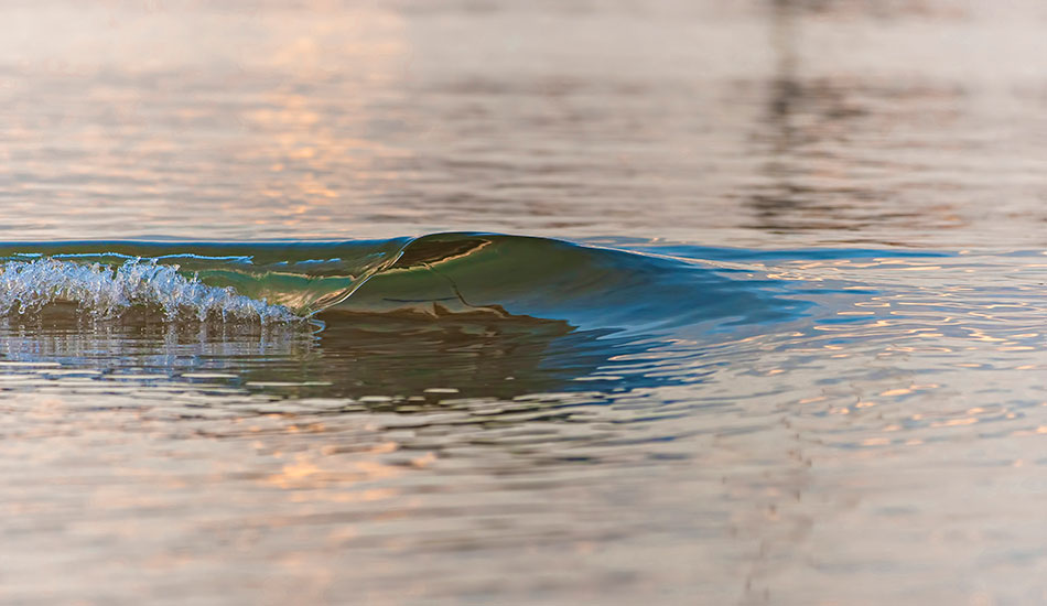 10cm of mini wave perfection. Photo: <a href=\"http://www.16images.com.au\">Steen Barnes</a>