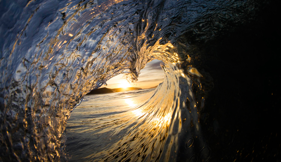 South arm Tasmanian beachie. Photo: <a href=\"http://www.stugibson.net\">Stuart Gibson</a>