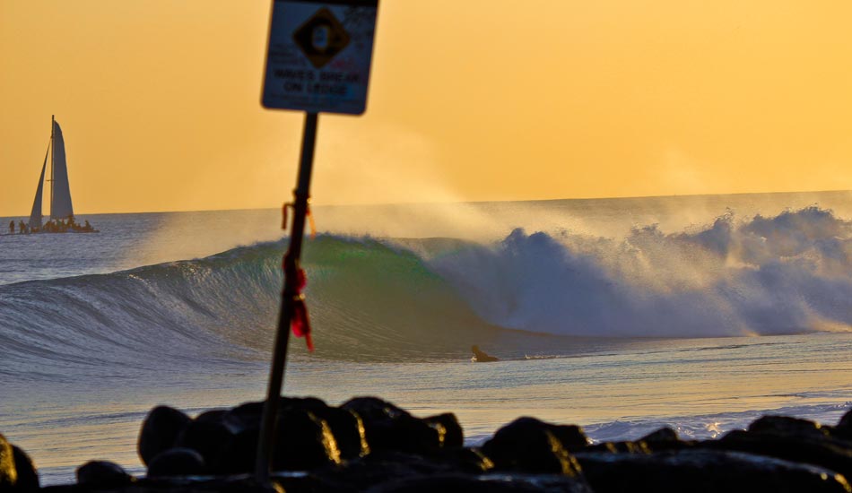 Baby Haleiwa. Photo: Phil LeRoy