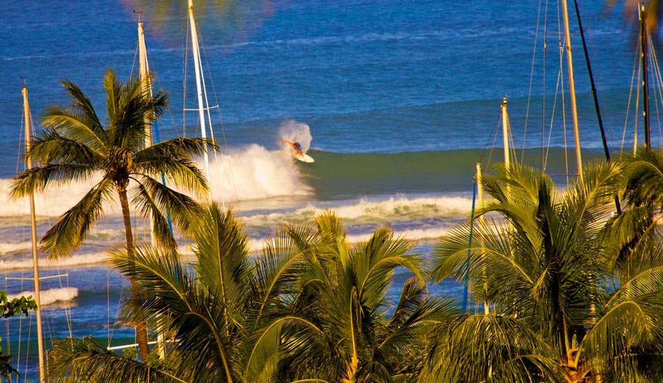 Backside through the trees. Photo: Phil LeRoy