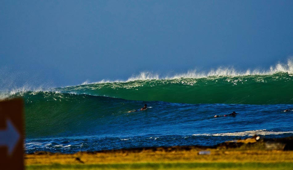 Scraping. Photo: Phil LeRoy