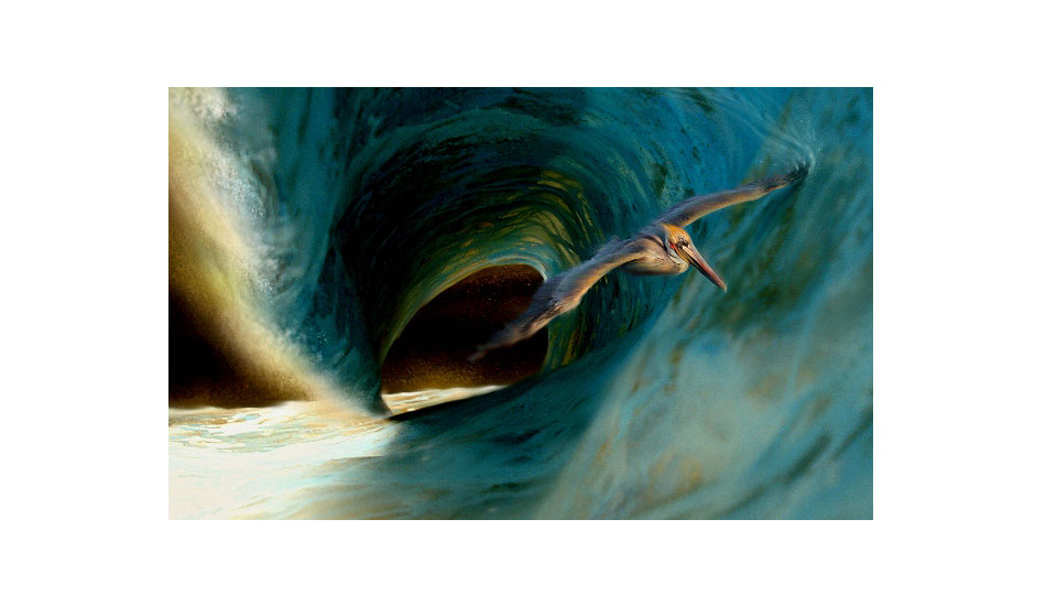 Pelican Barrel. Photo: <a href=\"http://www.envirosurfartseries.com\" target=_blank>Richard Morrison</a>