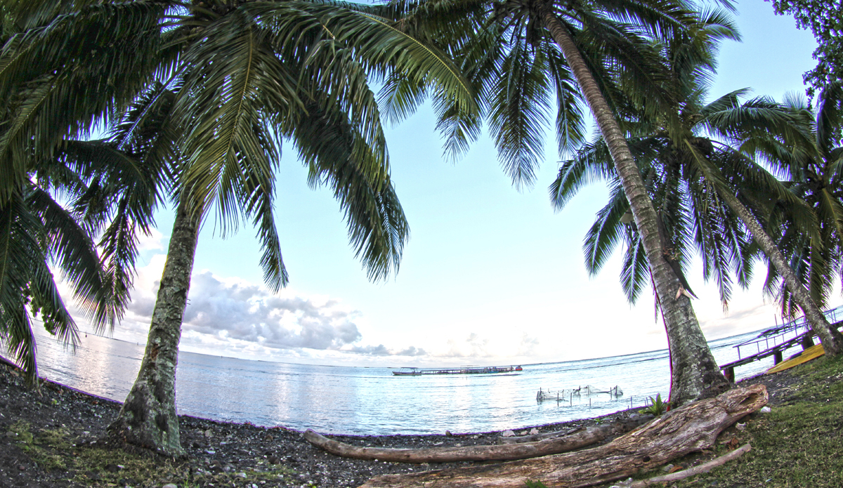 The perfect spot for a nap after a surf. However, the falling coconut danger is very real. Photo: <a href=\"https://www.facebook.com/pages/Jared-Sislin-Photography/258114520882025\">Jared Sislin</a>