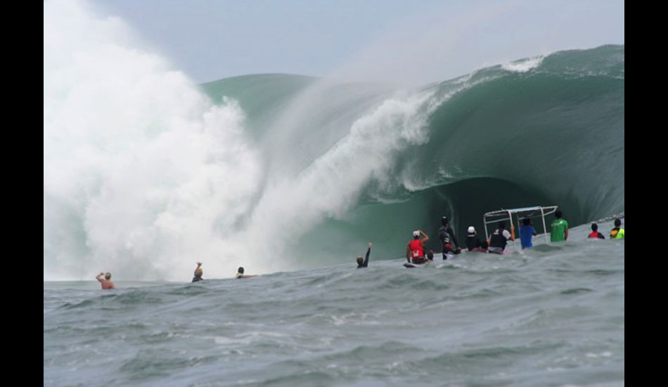 The rogues and freaks. Photo: ASP