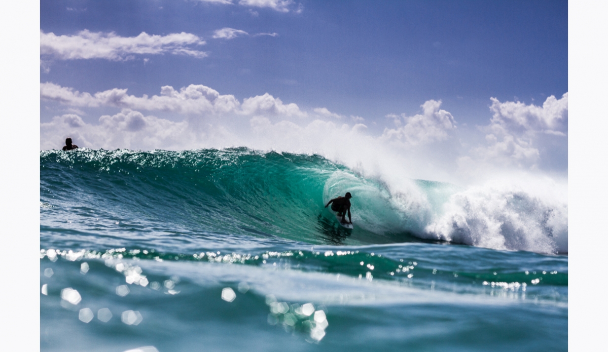 Unknown... Photo: <a href=\"http://haydenoneillphoto.com/\">Hayden O\'Neill</a>