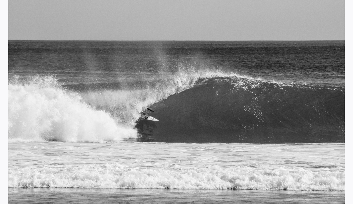 Photo: <a href=\"http://haydenoneillphoto.com/\">Hayden O\'Neill</a>