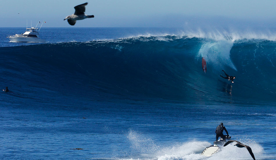 I feel sorry for this guy… but the photo turned out great. Photo: Claudia Boily