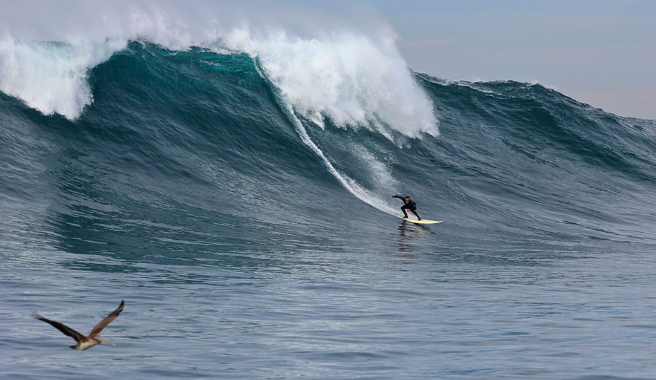 Nick Hernandez dropping deep. Photo: Claudia Boily