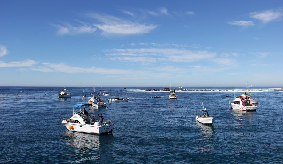 Not the only boat out anymore. Photo: Claudia Boily