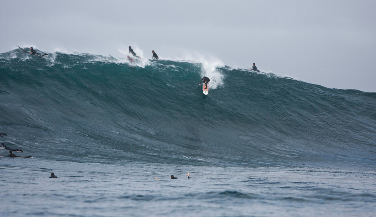 Photo: Captain Alfonso Lopez—Oceanforce Foundation