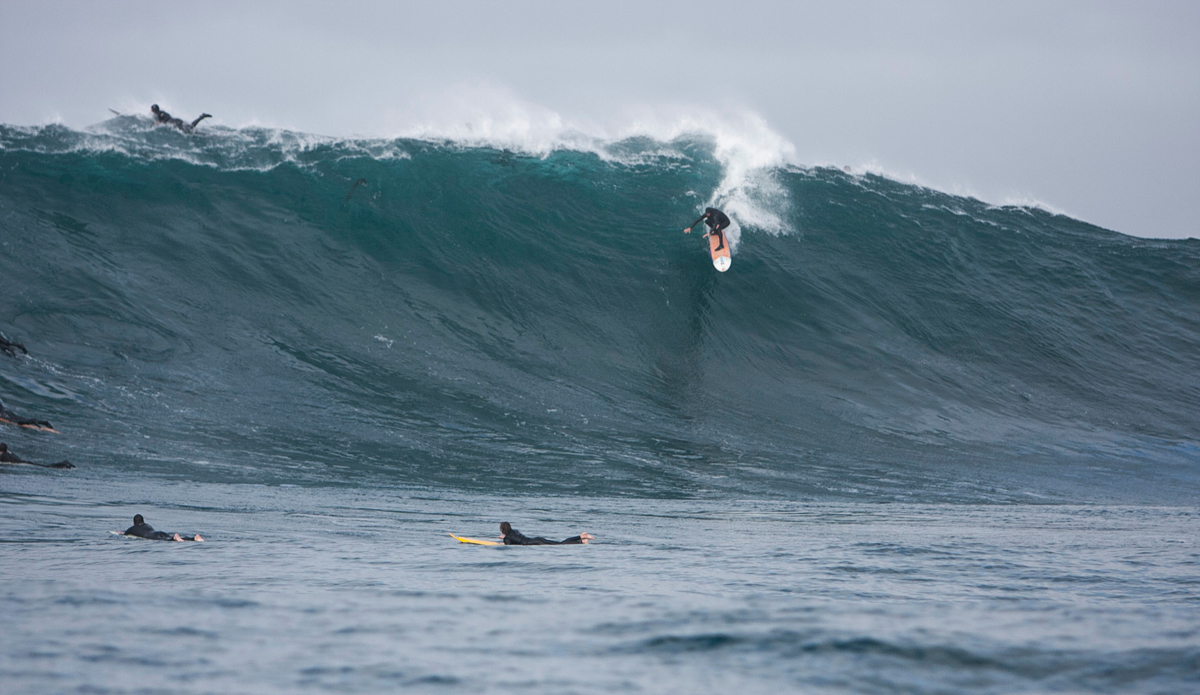 Photo: Captain Alfonso Lopez—Oceanforce Foundation