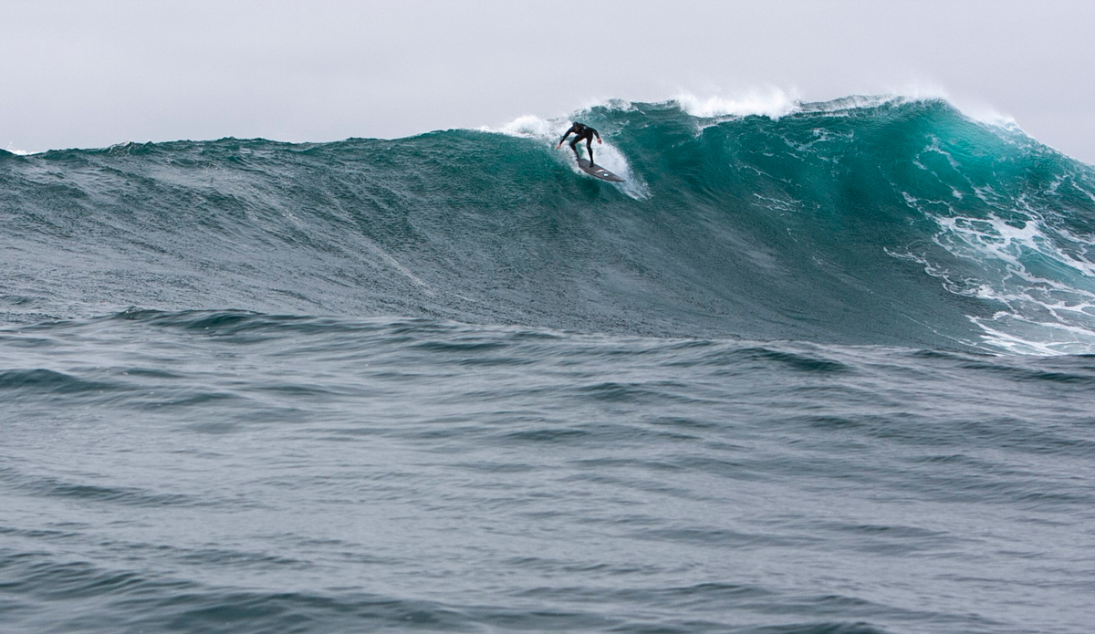 Photo: Captain Alfonso Lopez—Oceanforce Foundation