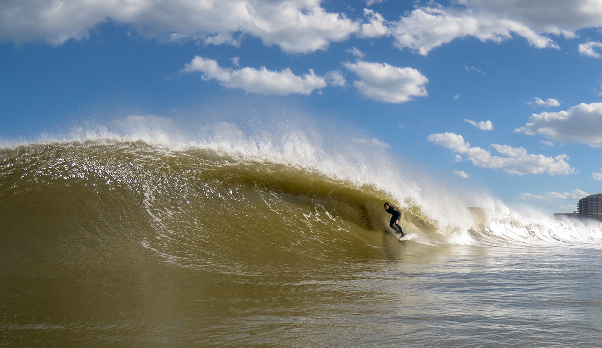 Luke Ditella. Photo: Tim Torchia