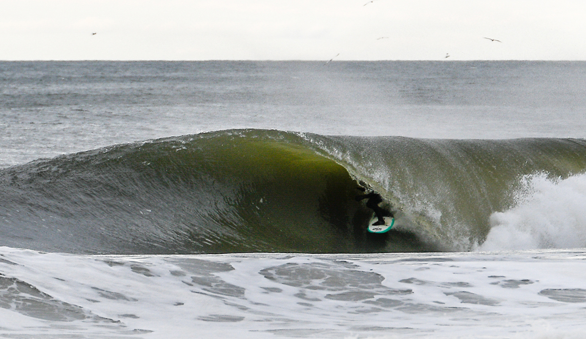 Sam Hammer. Photo: Tim Torchia