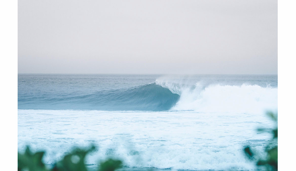 Through the trees. Photo: <a href=\"http://https://instagram.com/haydenoneill/\">Hayden O\'Neill</a>