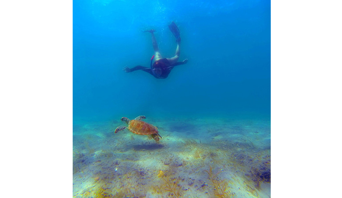 A free diver gets a closer look. Photo: <a href=\"http://instagram.com/youngxsalt\"> Tondo</a>