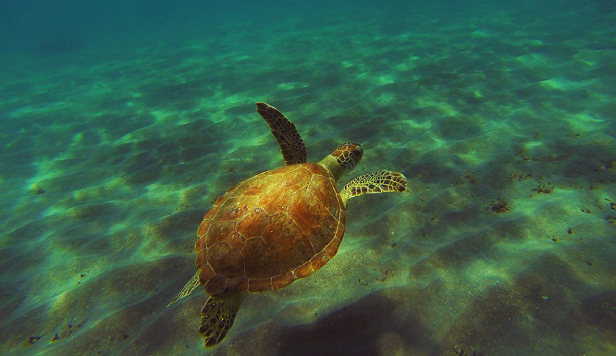 I really like the light pattern on the sand here. Photo: <a href=\"http://instagram.com/youngxsalt\"> Tondo</a>