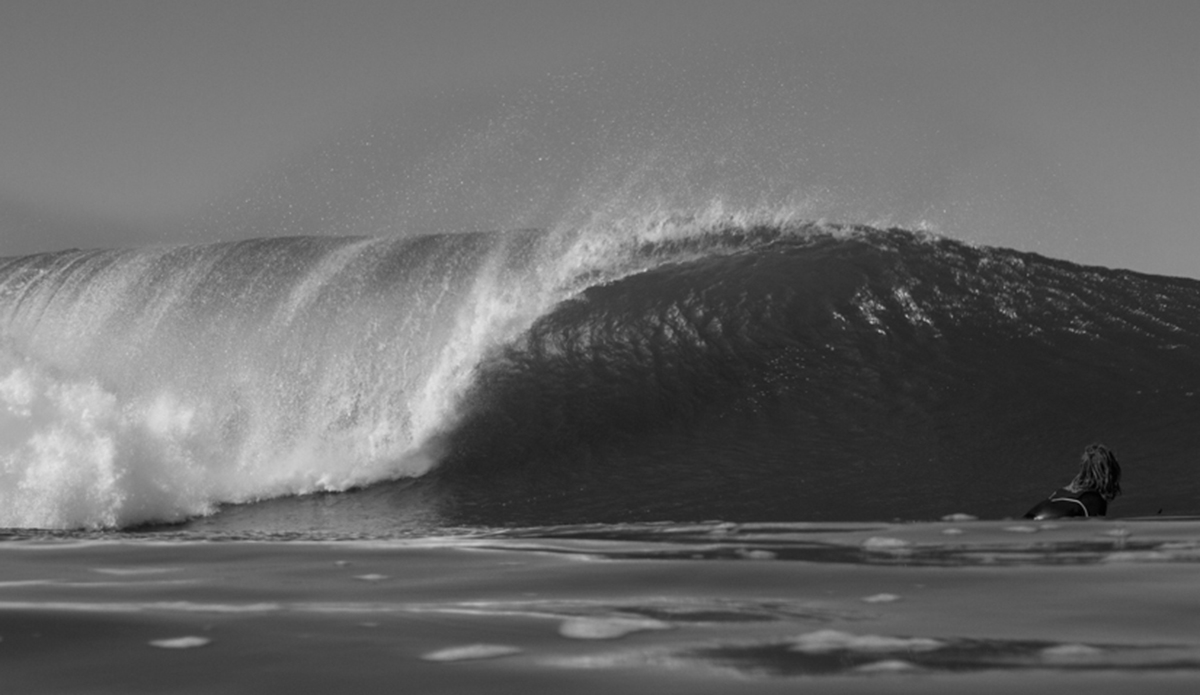 Black Gold Photo: <a href=\"http://haydenoneillphoto.com/\">Hayden O\'Neill</a>