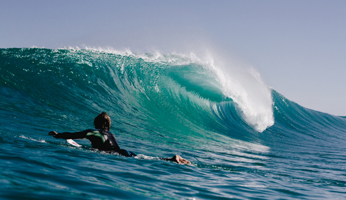 Eyes On It All Photo: <a href=\"http://haydenoneillphoto.com/\">Hayden O\'Neill</a>