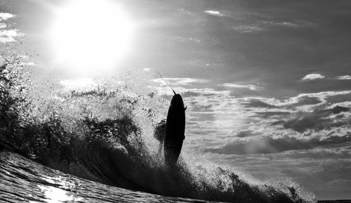 Mitch Hayes Photo: <a href=\"http://haydenoneillphoto.com/\">Hayden O\'Neill</a>