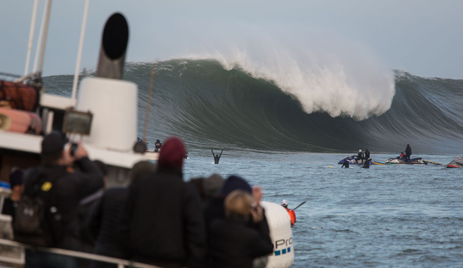 Pure excitement. Photo: <a href=\"http://www.adamwarmington.com/\">Adam Warmington.</a>