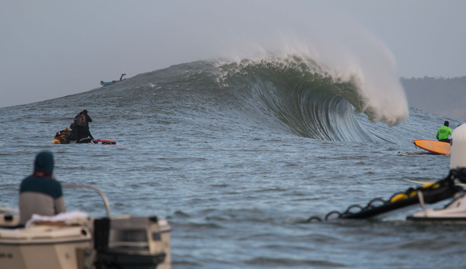 On the back of a beast. Photo: <a href=\"http://www.adamwarmington.com/\">Adam Warmington.</a>