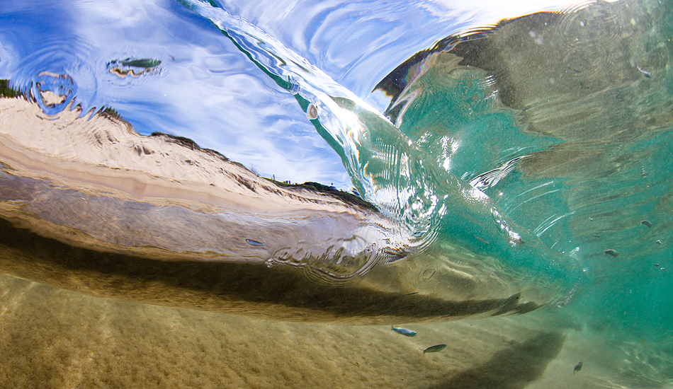 Aquarium. Photo: <a href=\"http://www.warrenkeelanphotography.com.au/\" target=_blank>Warren Keelan</a>.