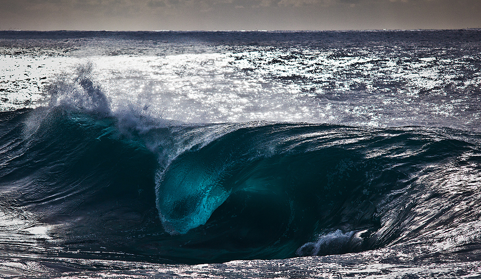 Blue Tongue. Photo: <a href=\"http://www.warrenkeelanphotography.com.au/\" target=_blank>Warren Keelan</a>.