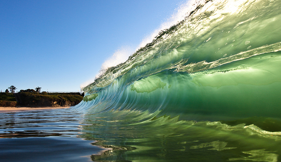 Green Light. Photo: <a href=\"http://www.warrenkeelanphotography.com.au/\" target=_blank>Warren Keelan</a>.