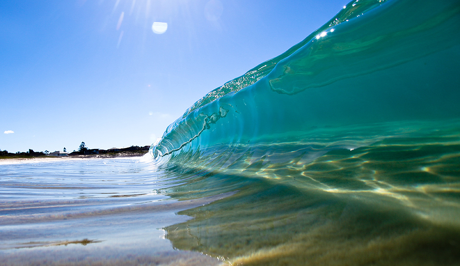 Ocean Jelly. Photo: <a href=\"http://www.warrenkeelanphotography.com.au/\" target=_blank>Warren Keelan</a>.