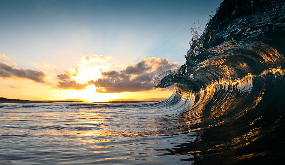 Sea Hawk. Photo: <a href=\"http://www.warrenkeelanphotography.com.au/\" target=_blank>Warren Keelan</a>.