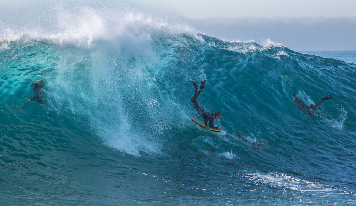 Wedge Whale. Photo: <a href=\"http://instagram.com/jeff_davis\">Jeff Davis</a>