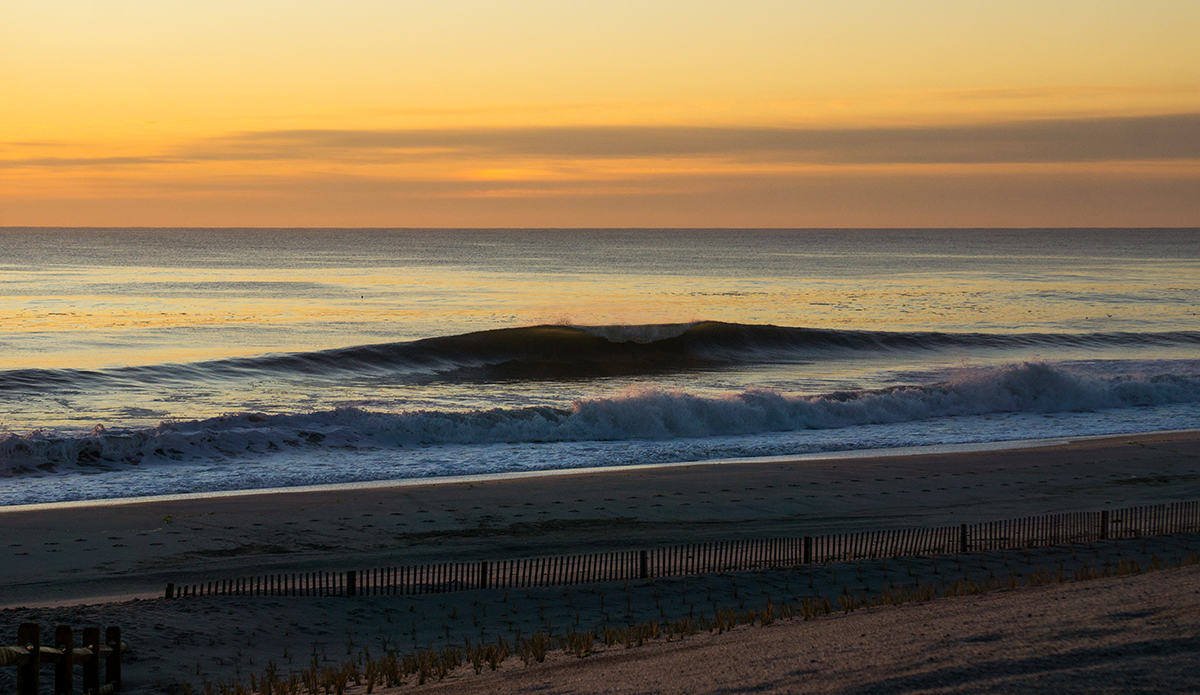 East Coast gold. Photo: @finne__