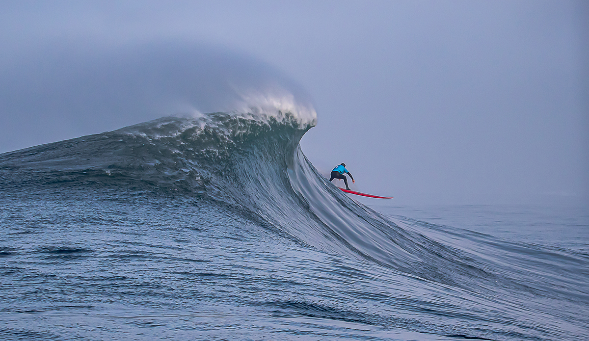 Mavs. Photo: @runamuckphotography 