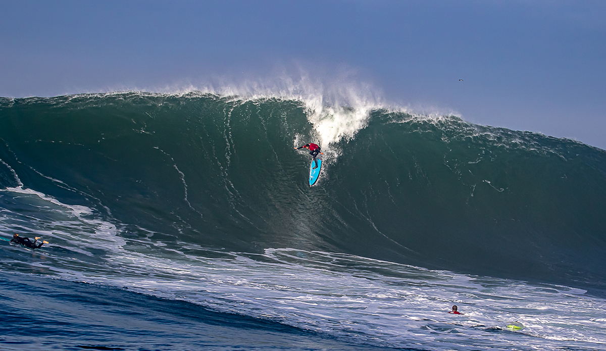 Mavs. Photo: @runamuckphotography 