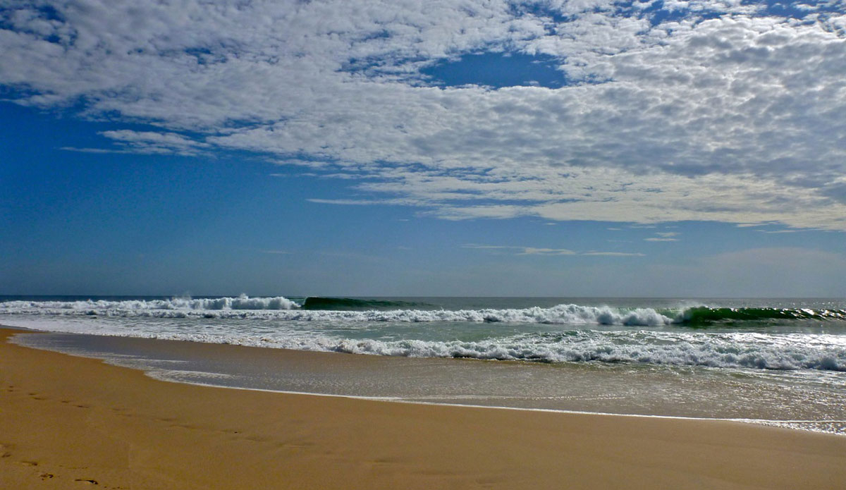 Equatorial legends come to life in Gabon. Photo: <a href=\"http://bugsonmyboard.org/\">Gary Conley</a>